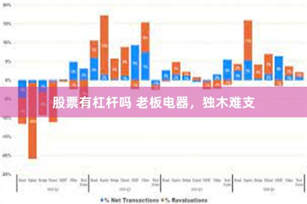 股票有杠杆吗 老板电器，独木难支