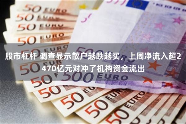 股市杠杆 调查显示散户越跌越买，上周净流入超2470亿元对冲了机构资金流出