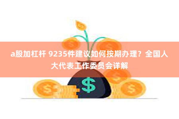 a股加杠杆 9235件建议如何按期办理？全国人大代表工作委员会详解