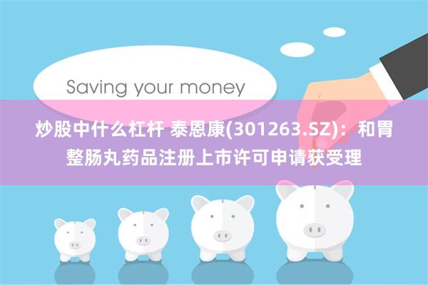 炒股中什么杠杆 泰恩康(301263.SZ)：和胃整肠丸药品注册上市许可申请获受理