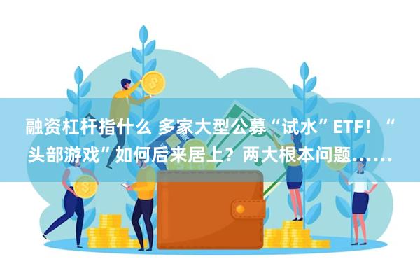 融资杠杆指什么 多家大型公募“试水”ETF！“头部游戏”如何后来居上？两大根本问题……