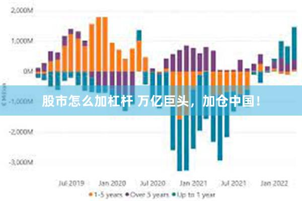 股市怎么加杠杆 万亿巨头，加仓中国！