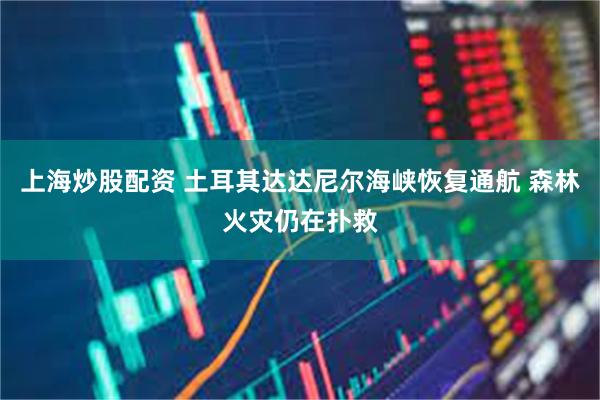上海炒股配资 土耳其达达尼尔海峡恢复通航 森林火灾仍在扑救